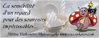 Photographe mariage en Provence